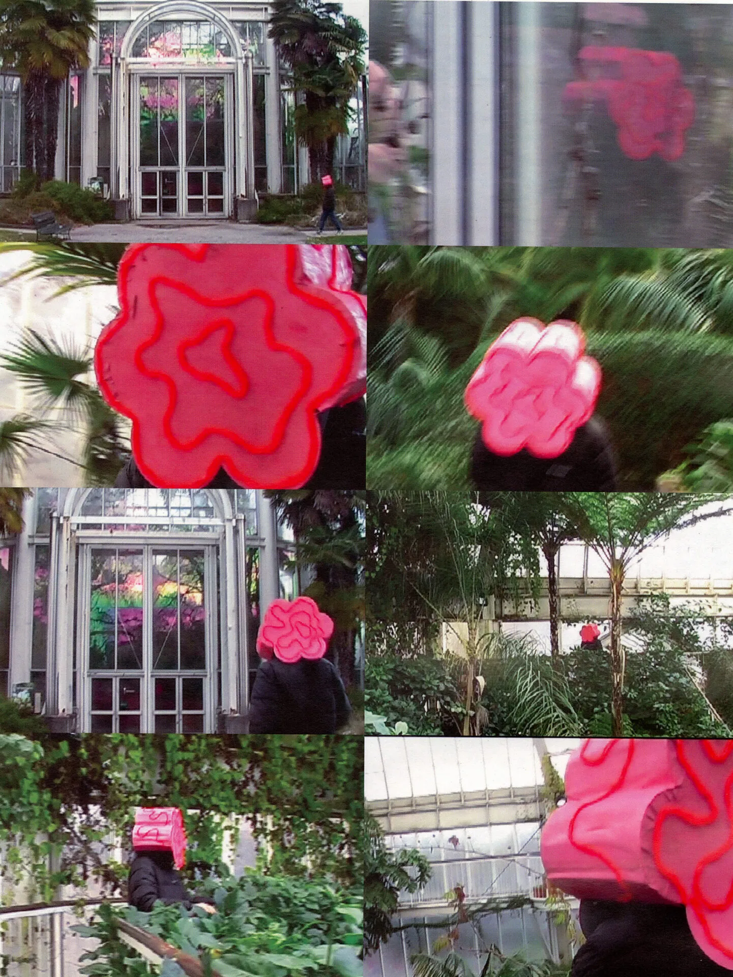 Mosaïque de photographies d’une serre où une personne porte une fleur rouge à la place du visage